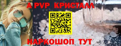 спиды Новодвинск