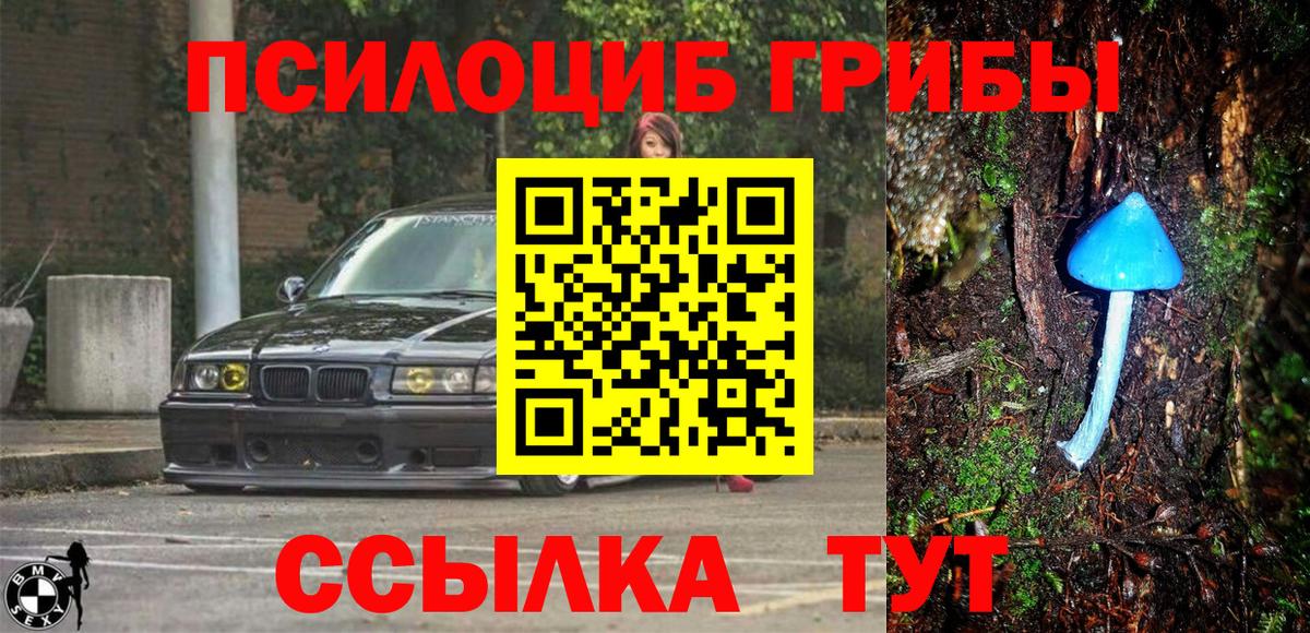 Сосновый Бор  Галлюциногенные грибы мицелий  Вход с VPN 